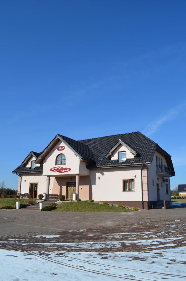 Hotel Dabrowka Niegowa Екстериор снимка